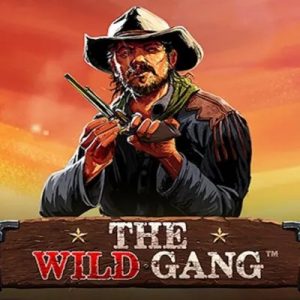 The Wild Gang Game